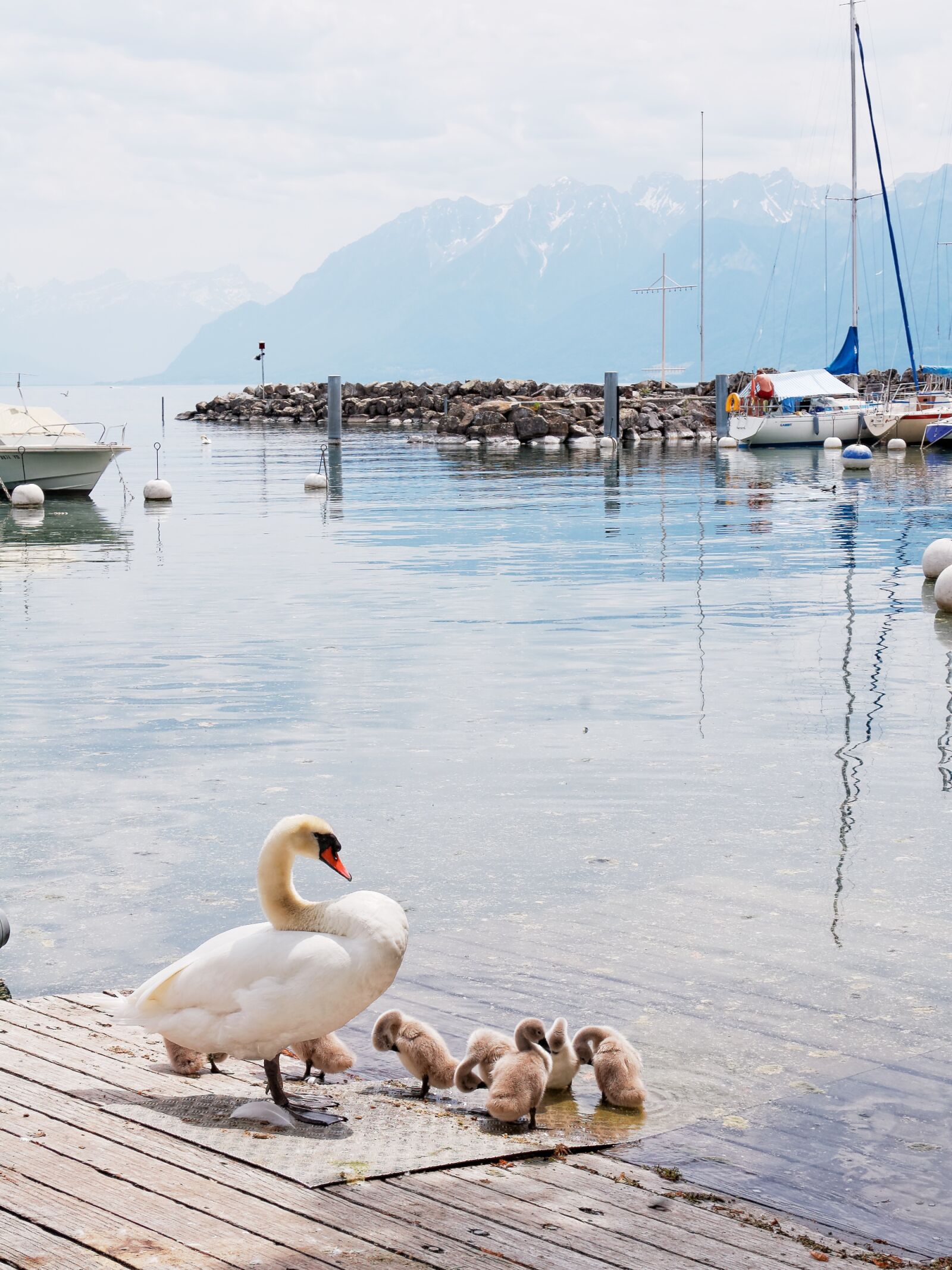 Nikon D50 sample photo. Geneva, lake, switzerland photography
