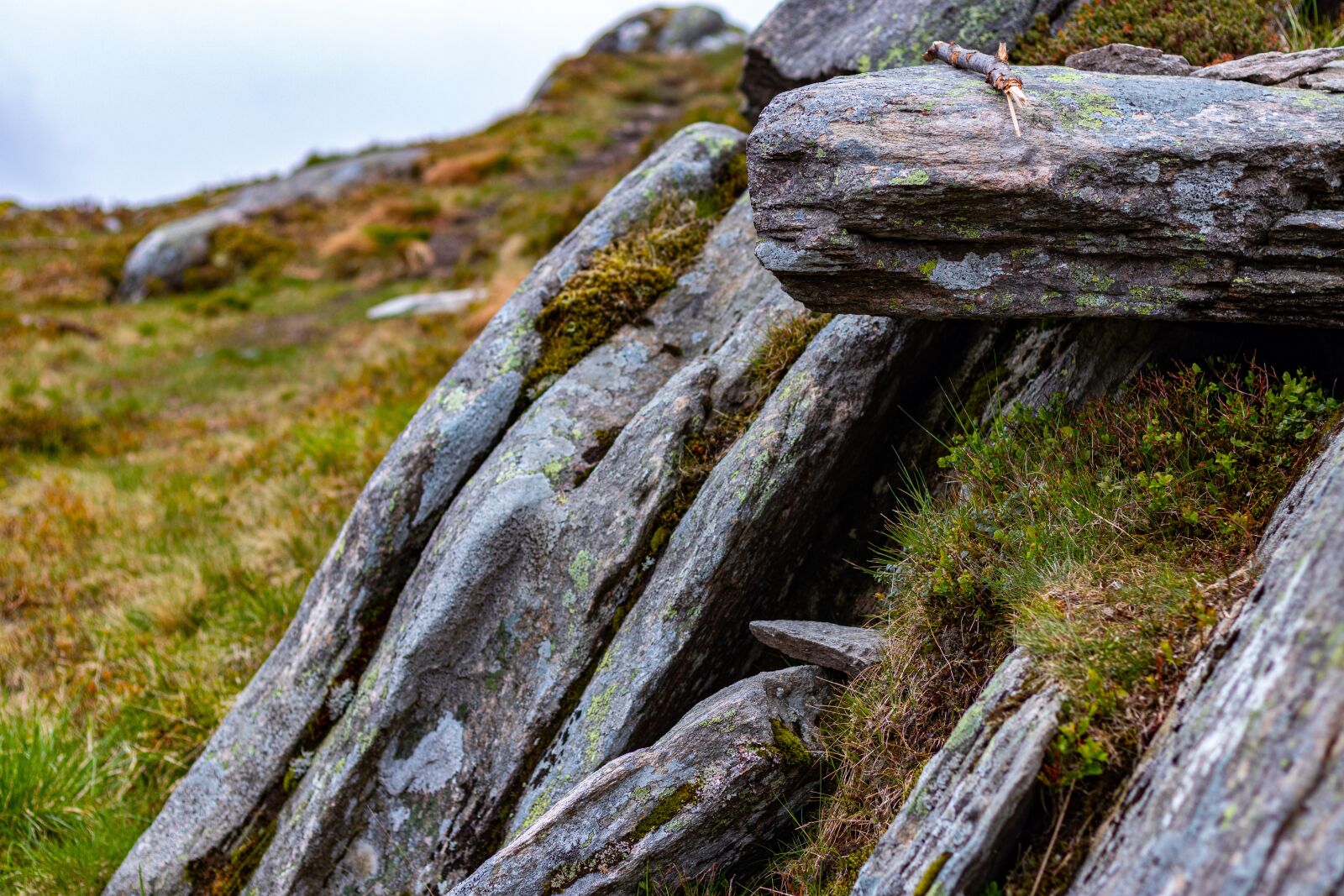 Canon EOS 80D sample photo. Rock, grass, nature photography