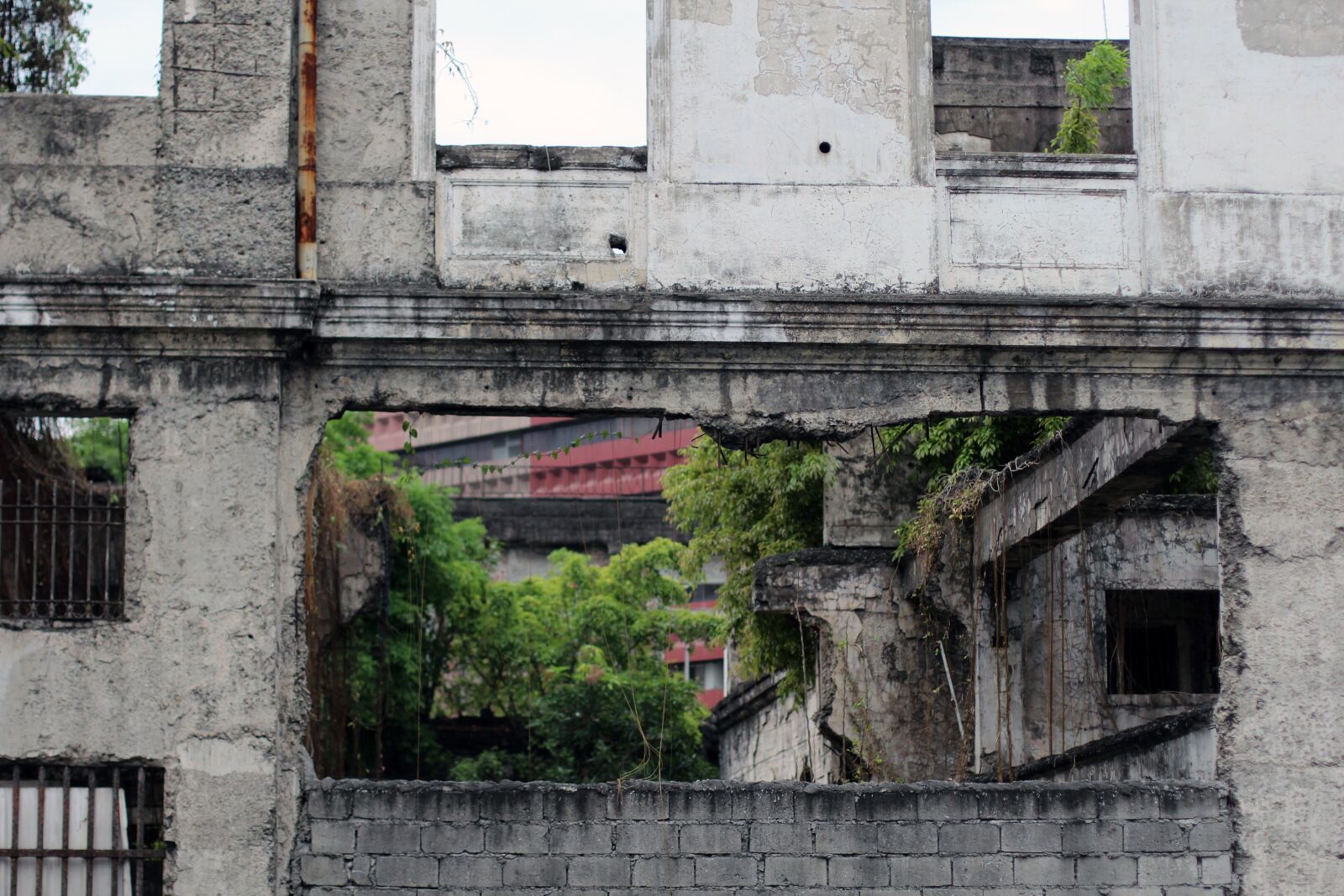 Canon EOS 600D (Rebel EOS T3i / EOS Kiss X5) + Canon EF 50mm F1.4 USM sample photo. Ruin, broken, hole photography