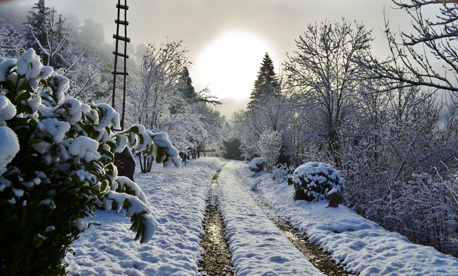 Nikon D5100 sample photo. Path, snow, cévennes photography