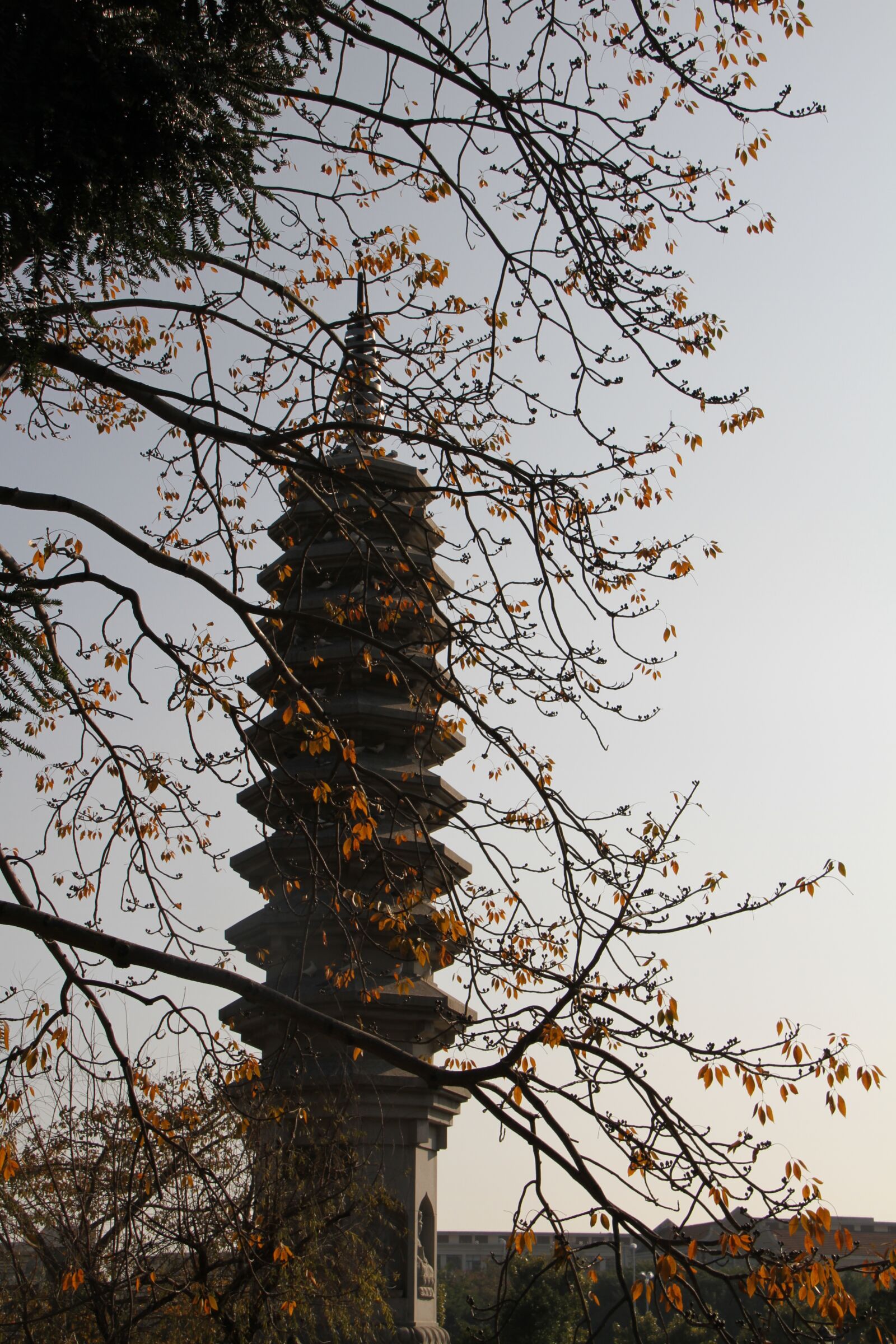 Canon EF-S 18-200mm F3.5-5.6 IS sample photo. South putuo temple, small photography
