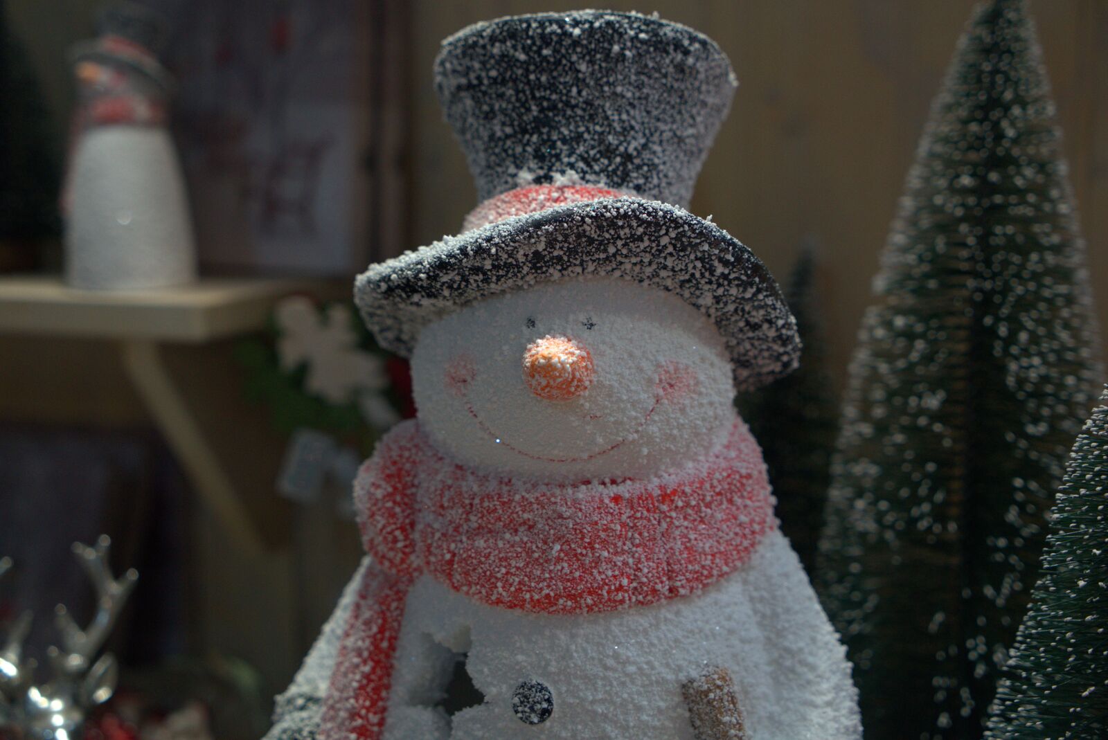 Sony a7 II + Sony Vario Tessar T* FE 24-70mm F4 ZA OSS sample photo. Snowman, deco, decoration photography