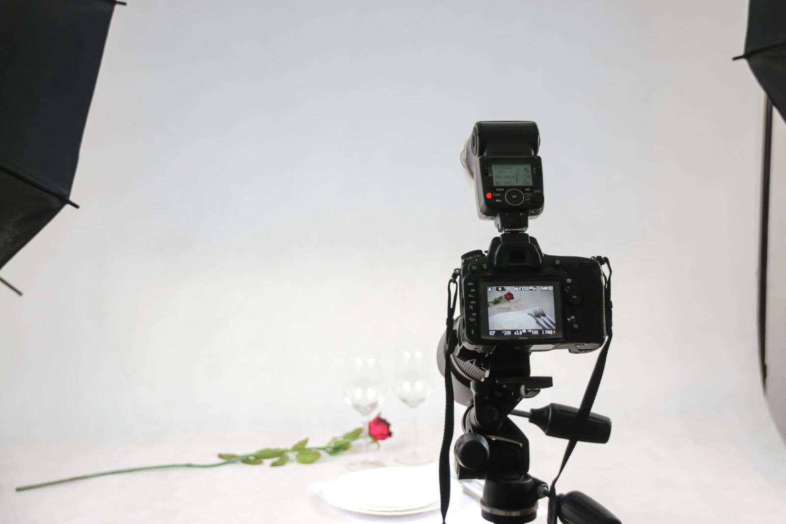 Nikon D3100 sample photo. Slr, dslr, full frame photography