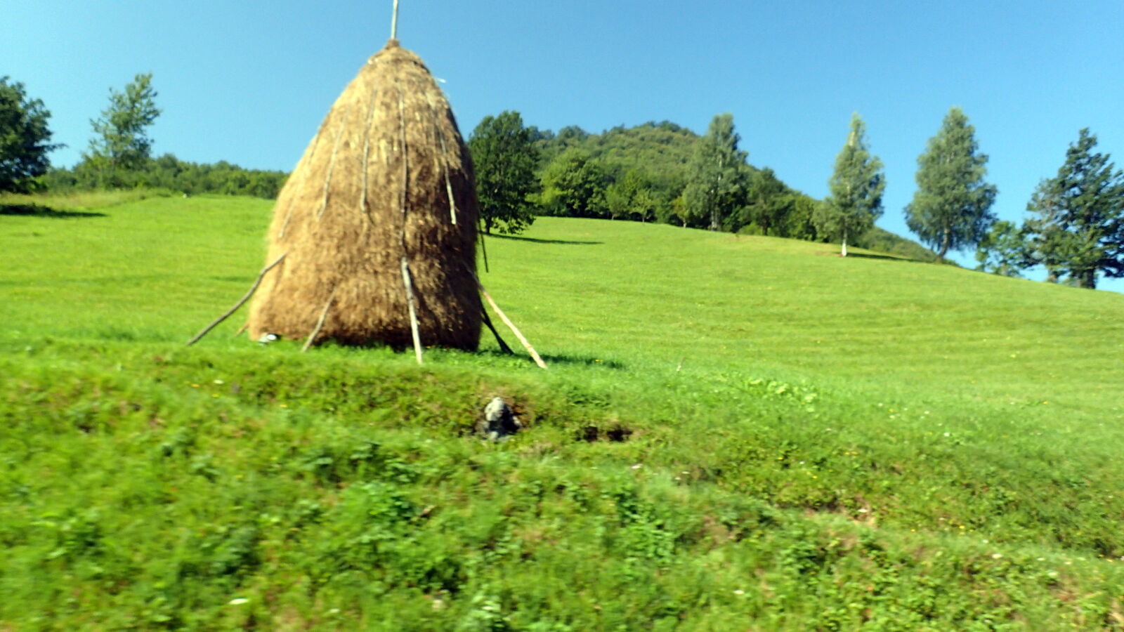 Olympus TG-3 sample photo. Hay, bales photography