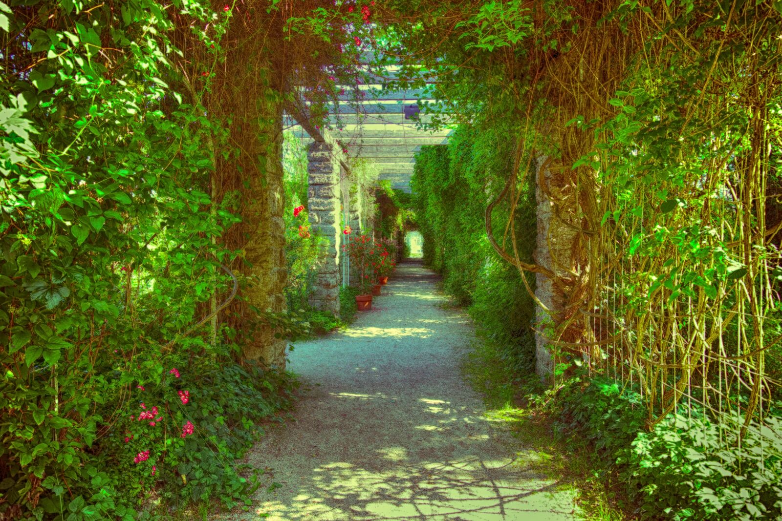 Sony DSC-RX100M5 sample photo. Passage, overgrown, romantic photography