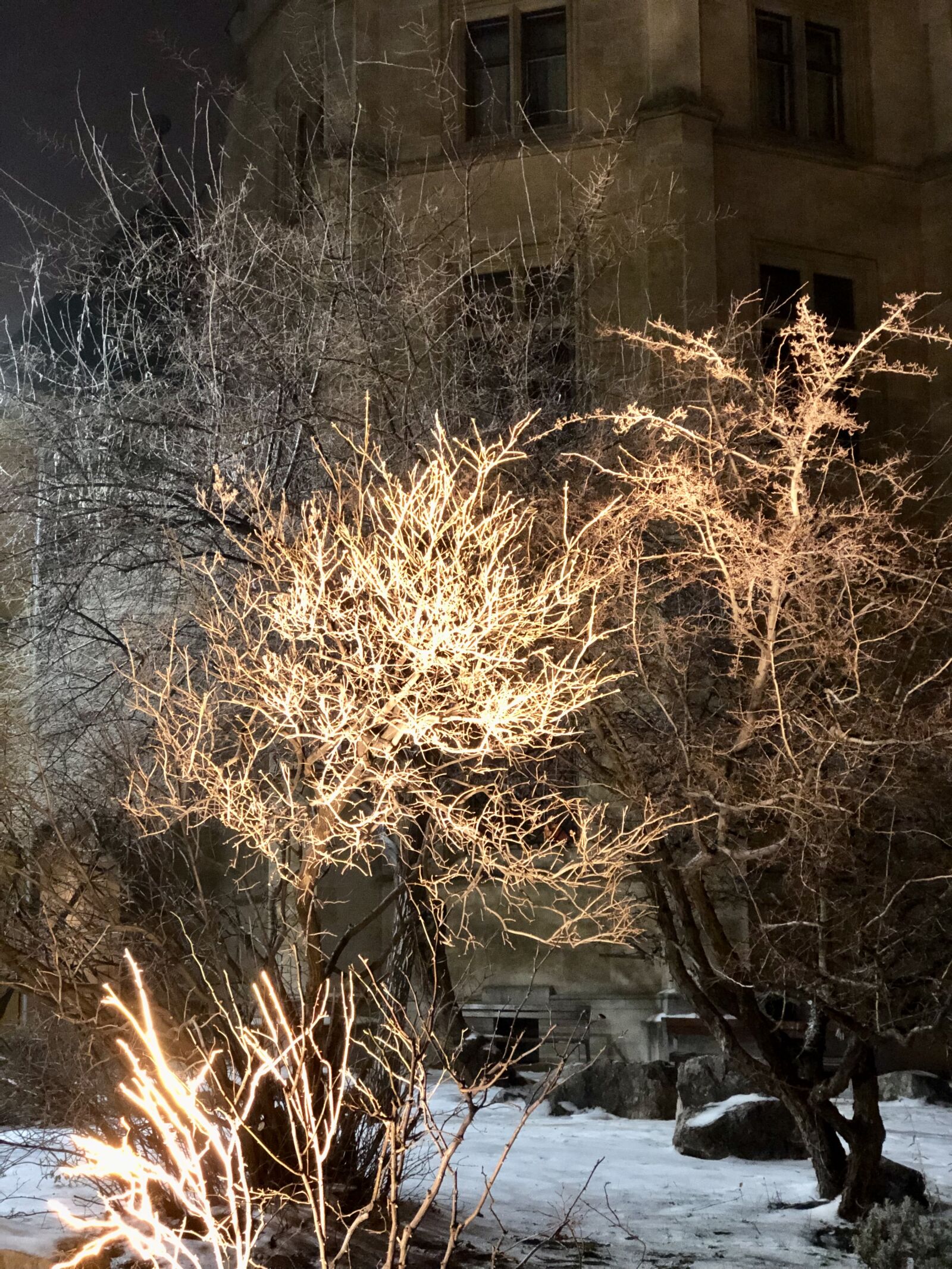 Apple iPhone 8 Plus sample photo