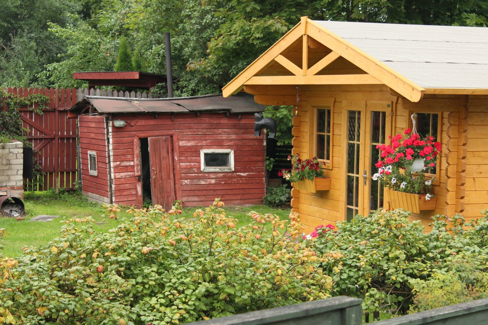 Canon EOS 600D (Rebel EOS T3i / EOS Kiss X5) sample photo. Tartu, estonia, yard photography