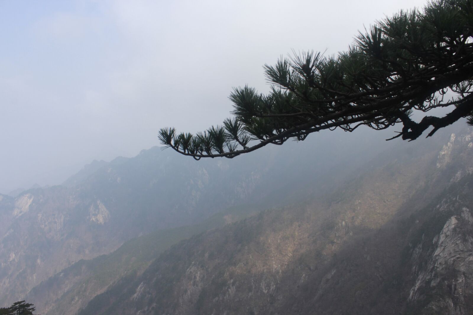 Canon EOS 60D sample photo. Welcome song, peak, misty photography
