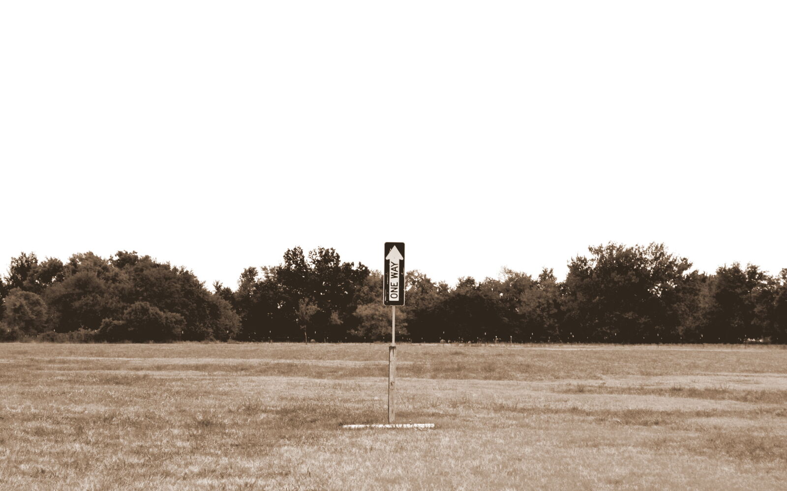 Nikon D3100 sample photo. Arrow, field, one, way photography