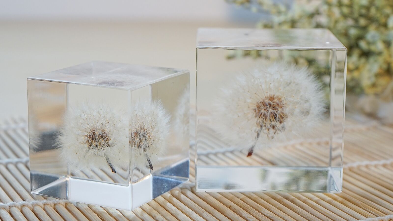 Sony FE 28-70mm F3.5-5.6 OSS sample photo. Dandelion, glass, crystal photography