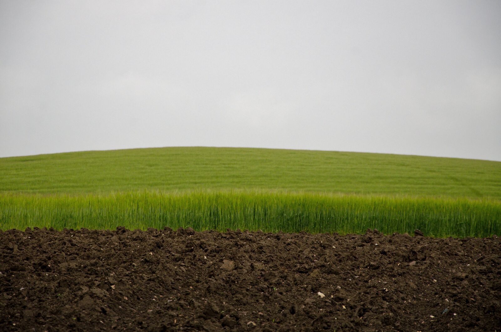 Nikon D7000 sample photo. Green field, sky and photography
