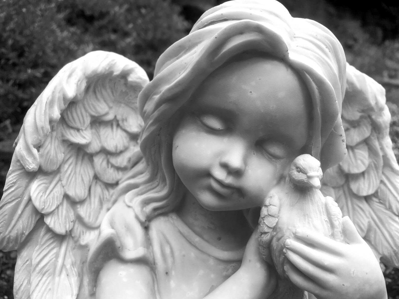 Apple iPhone 6s sample photo. Angel, statue, face photography