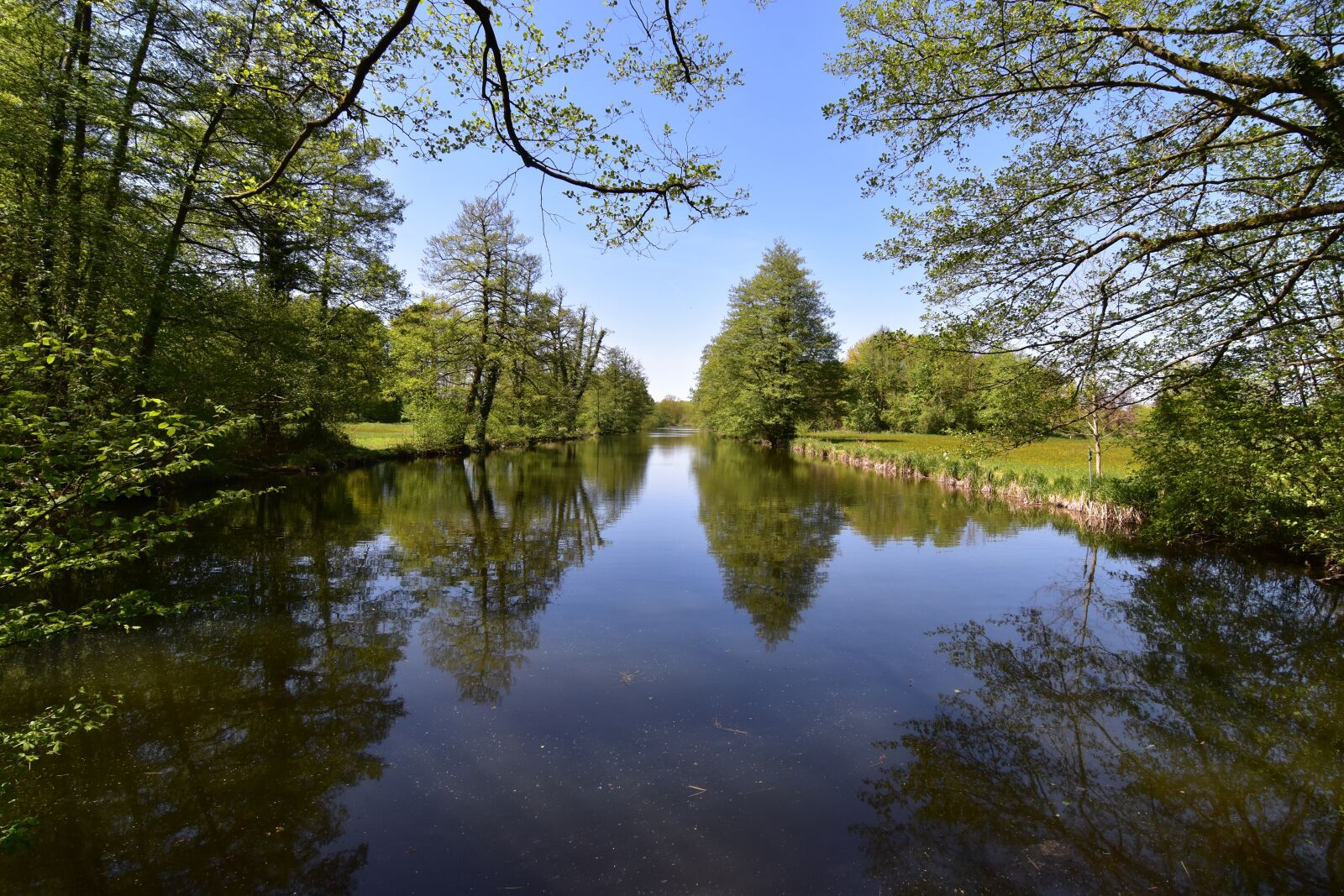Nikon D5500 sample photo. Forest, lake, landscape photography