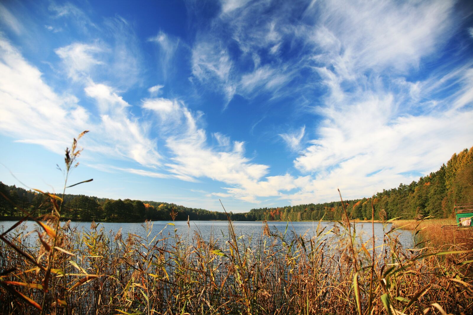 Canon EOS 5D sample photo. Autumn, lake, forest photography