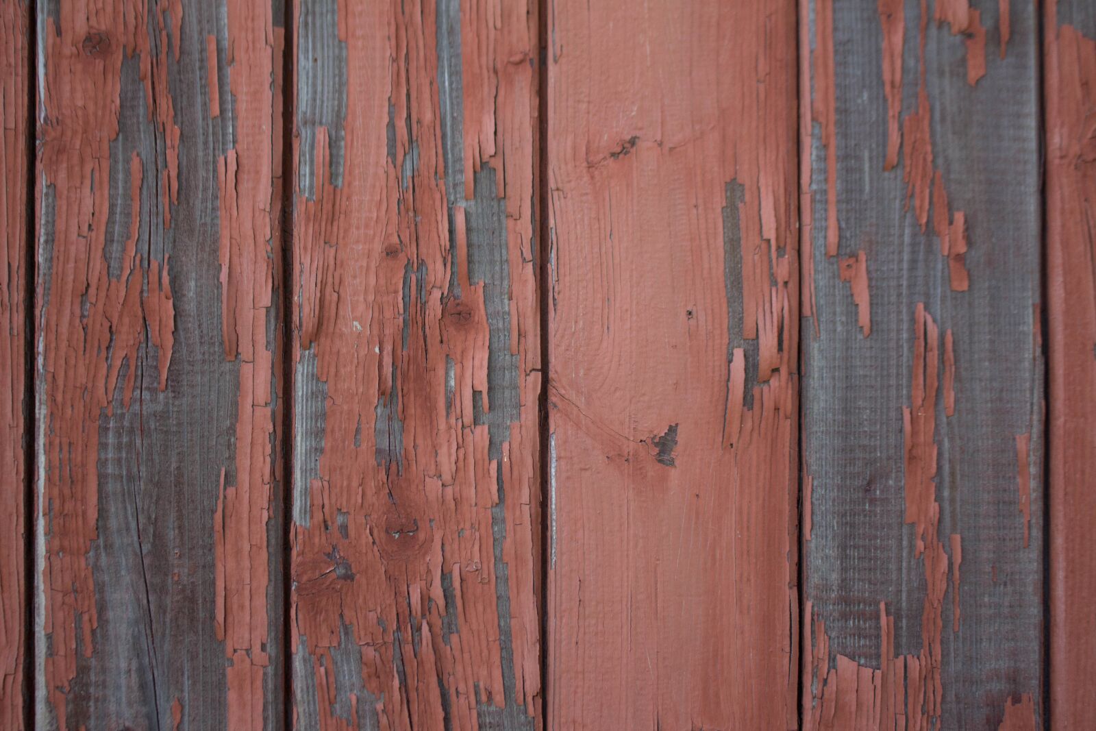 Canon EOS 700D (EOS Rebel T5i / EOS Kiss X7i) + Canon EF-S 18-55mm F3.5-5.6 IS STM sample photo. Wood, wall, red photography