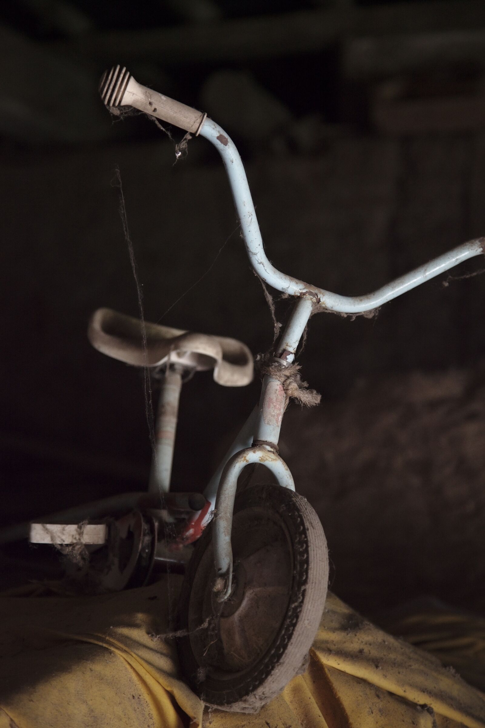 Canon EOS 5D Mark II sample photo. Tricycle, old, spider webs photography
