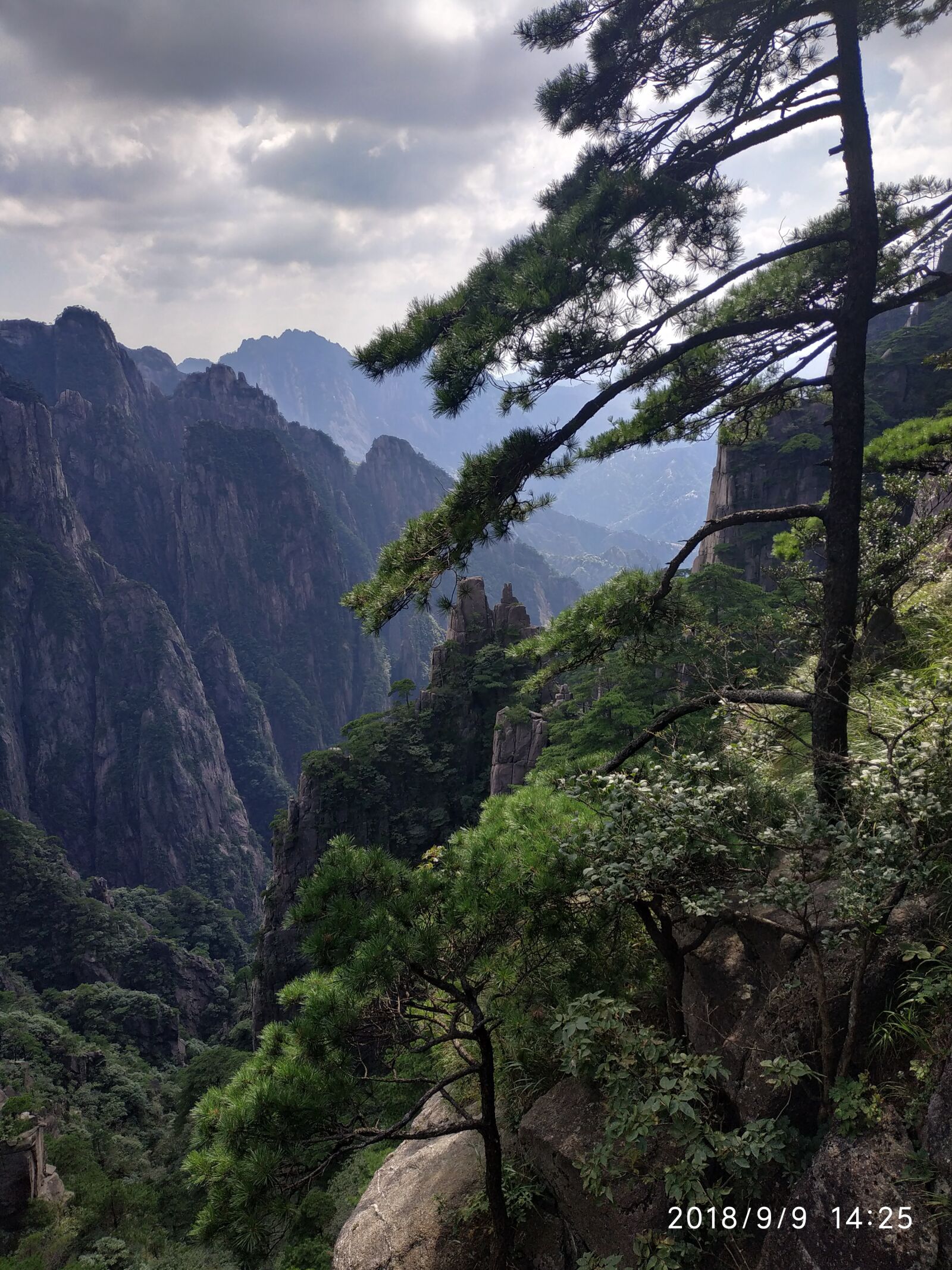 Xiaomi Redmi Note 5 sample photo. Huangshan, pine tree, photo photography