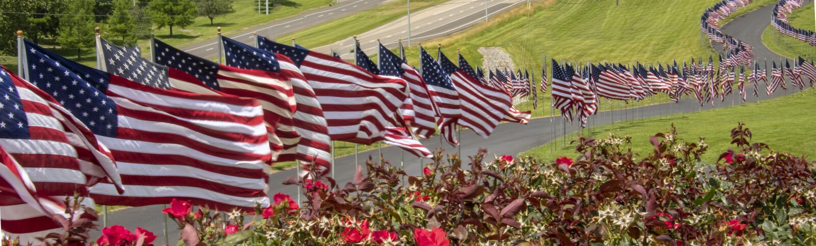 Nikon D850 sample photo. Flags, american, america photography