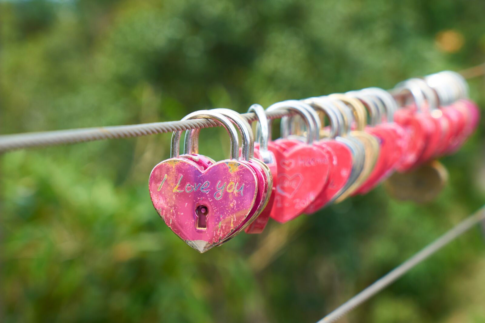 Sony a7R II sample photo. Luck, love, heart photography