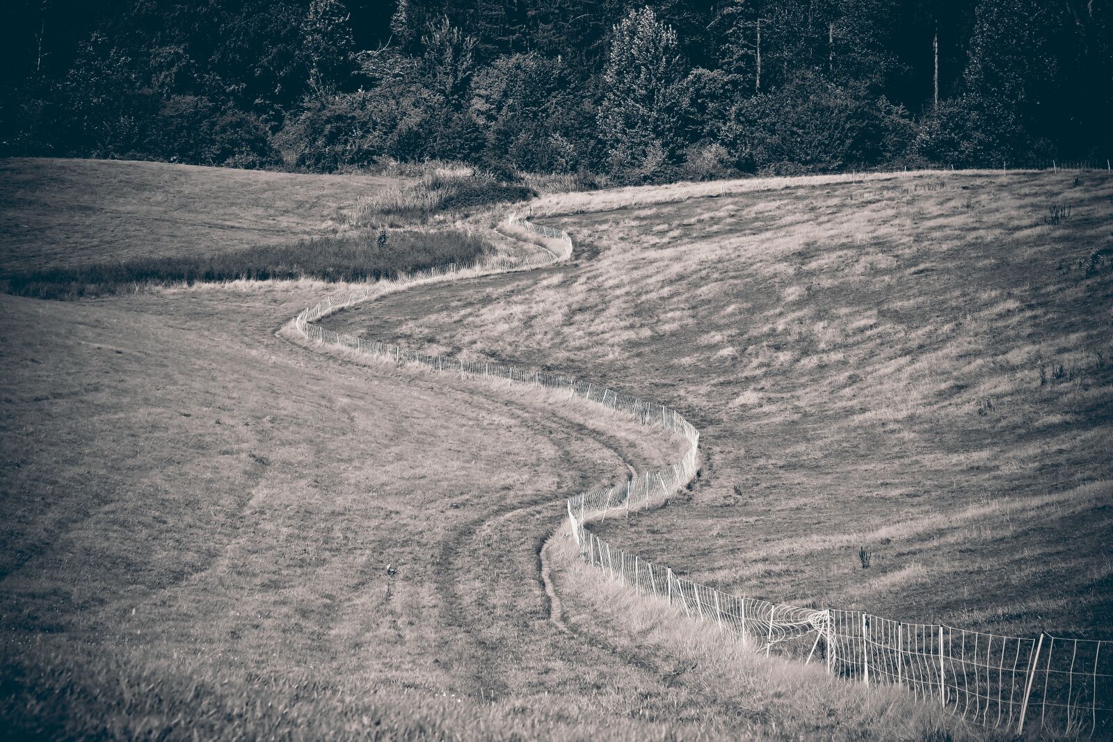 Olympus OM-D E-M10 sample photo. Landscape, field, nature photography