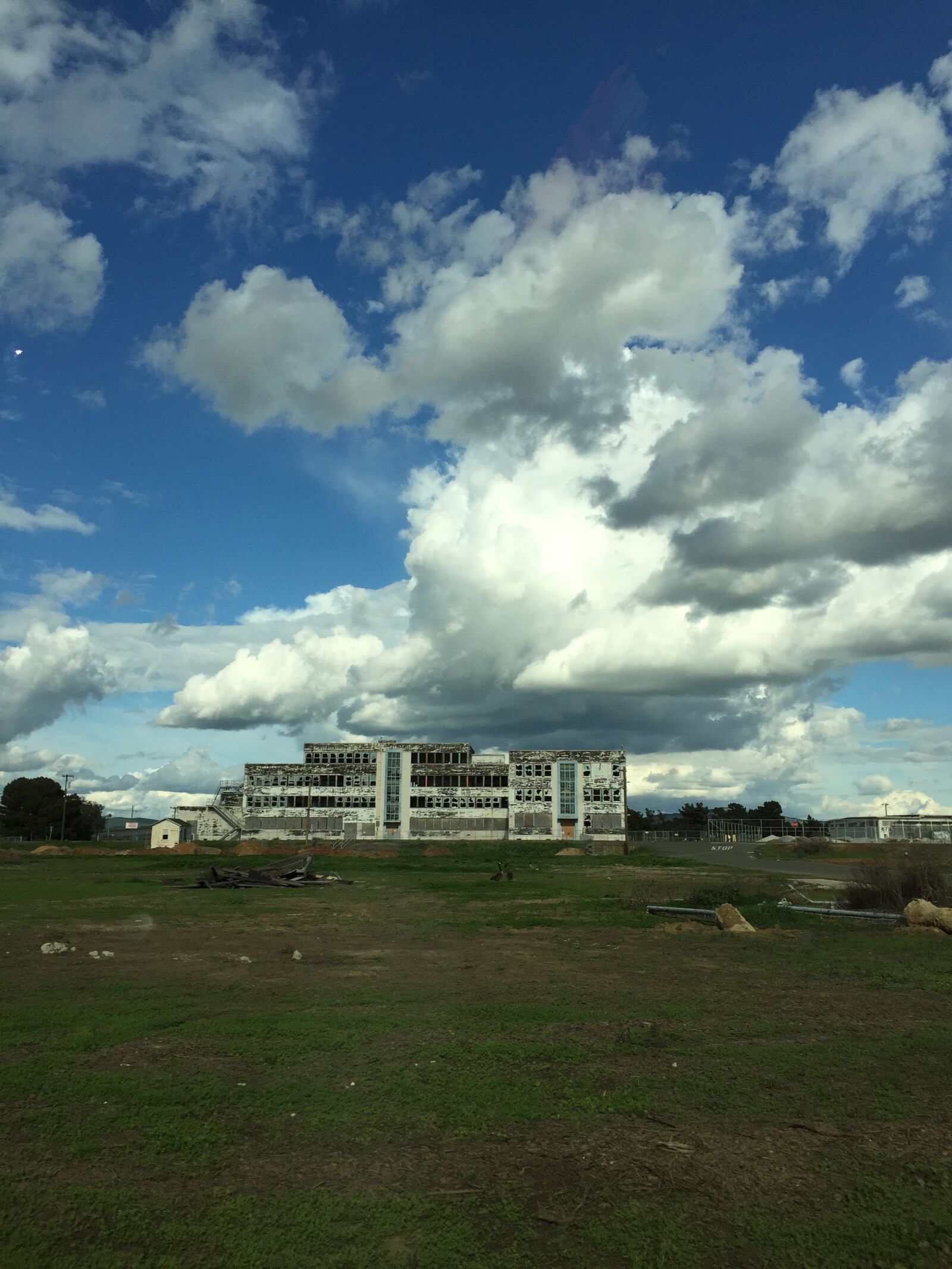 Apple iPhone 6 sample photo. Mare, island photography