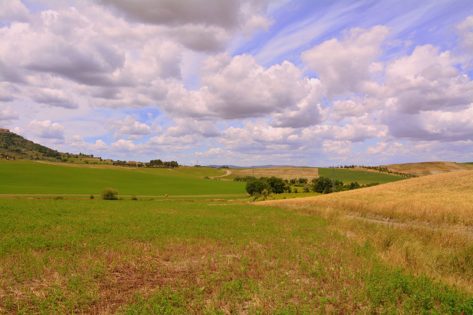 Nikon D7100 sample photo. Agriculture, field, wheat photography