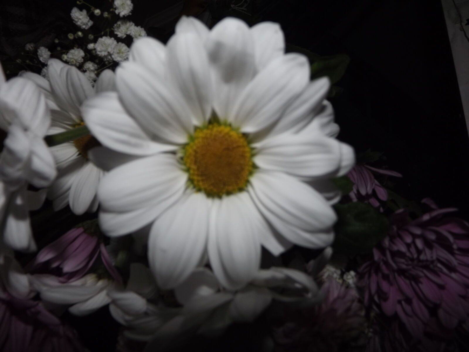Fujifilm FinePix S3300 sample photo