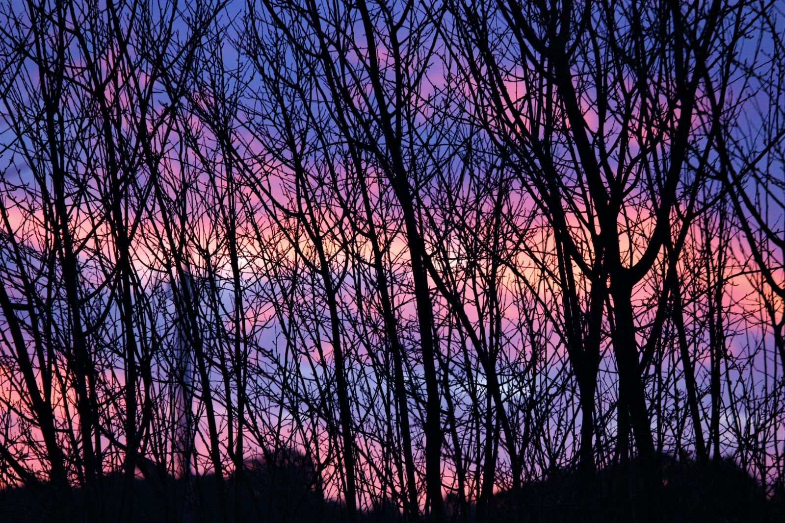 Canon EOS 600D (Rebel EOS T3i / EOS Kiss X5) sample photo. Sunset, winter, ramos photography