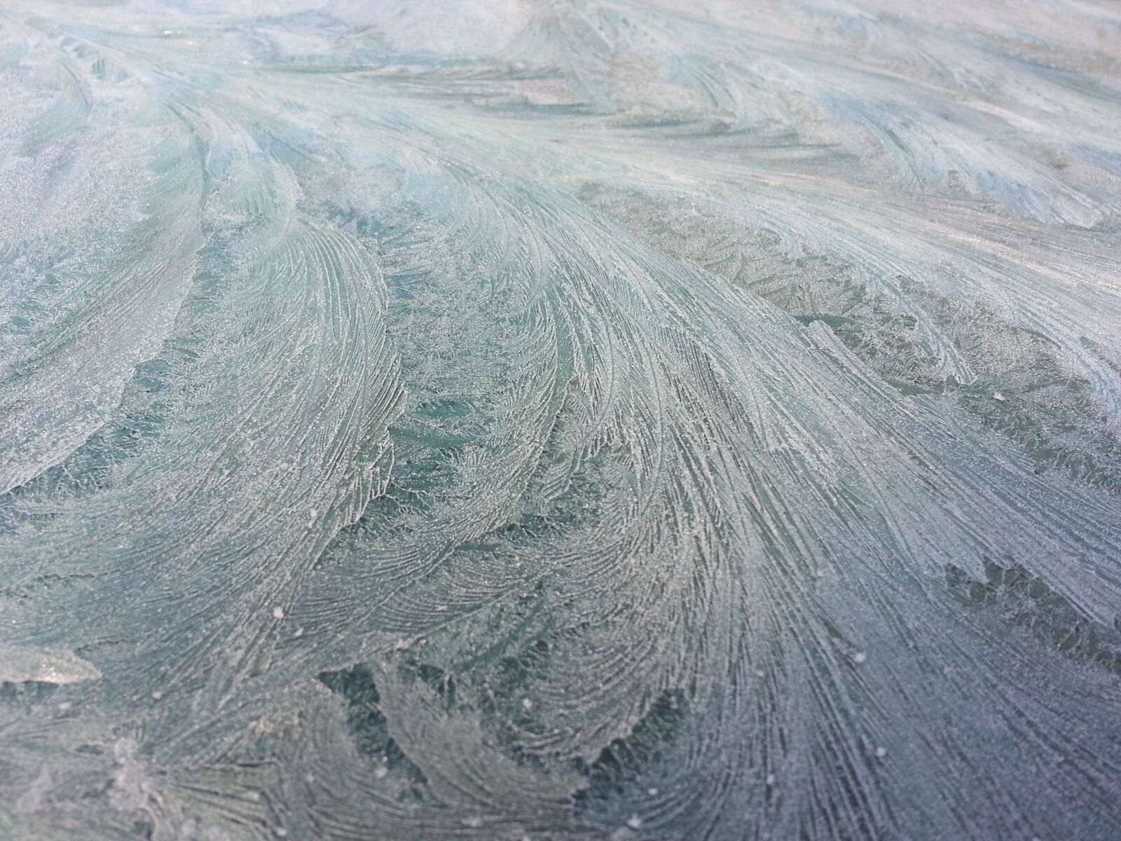 Samsung Galaxy Note2 sample photo. Cold, frost, frozen, glass photography