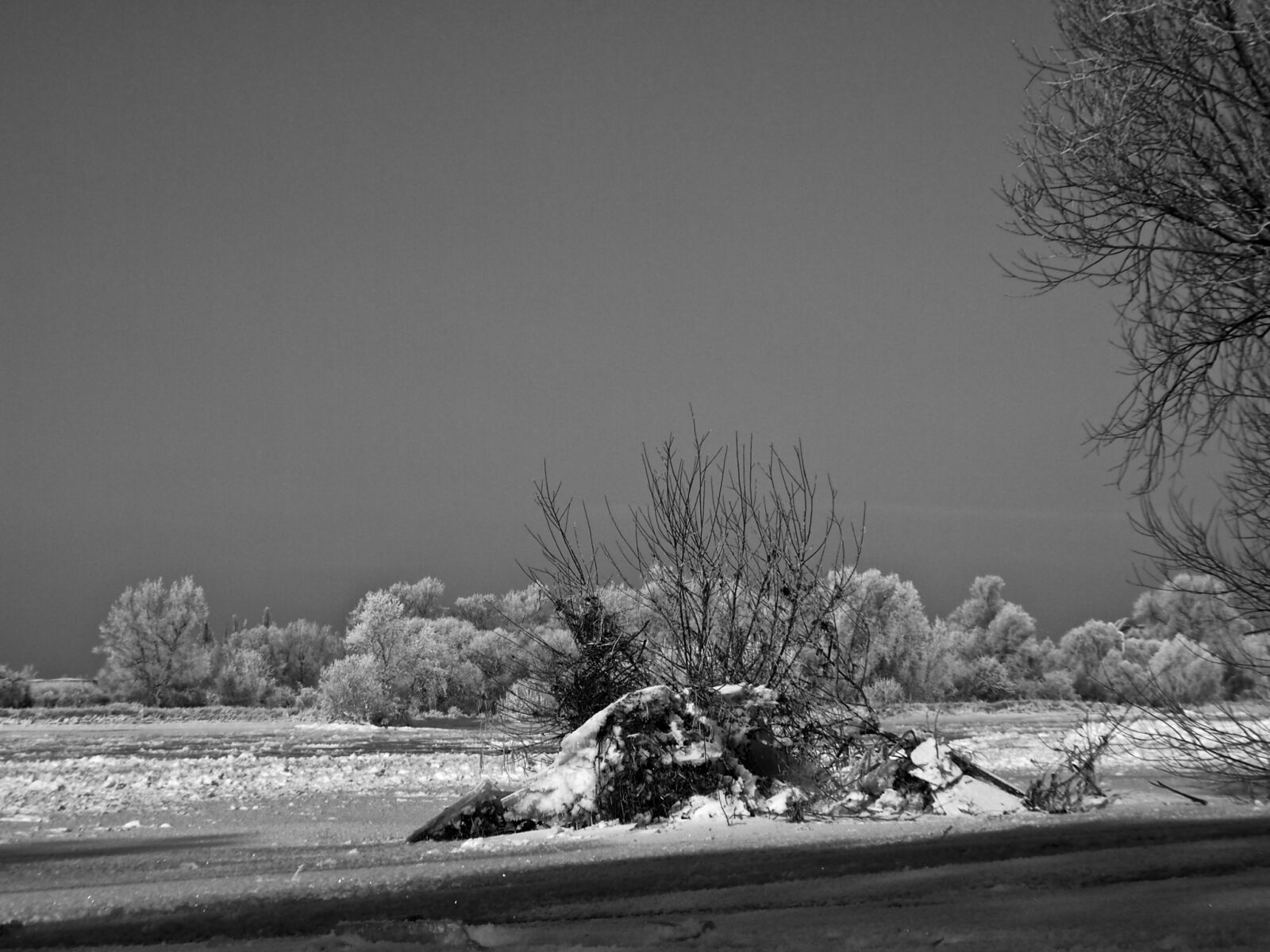 Olympus PEN E-PL3 sample photo. Winter, elbe, ice floes photography