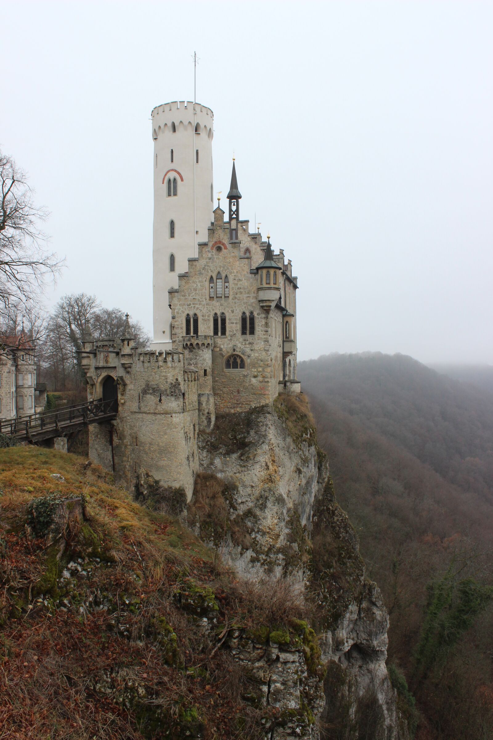 Canon EOS 600D (Rebel EOS T3i / EOS Kiss X5) sample photo. Castle, fog, lichtenstein photography