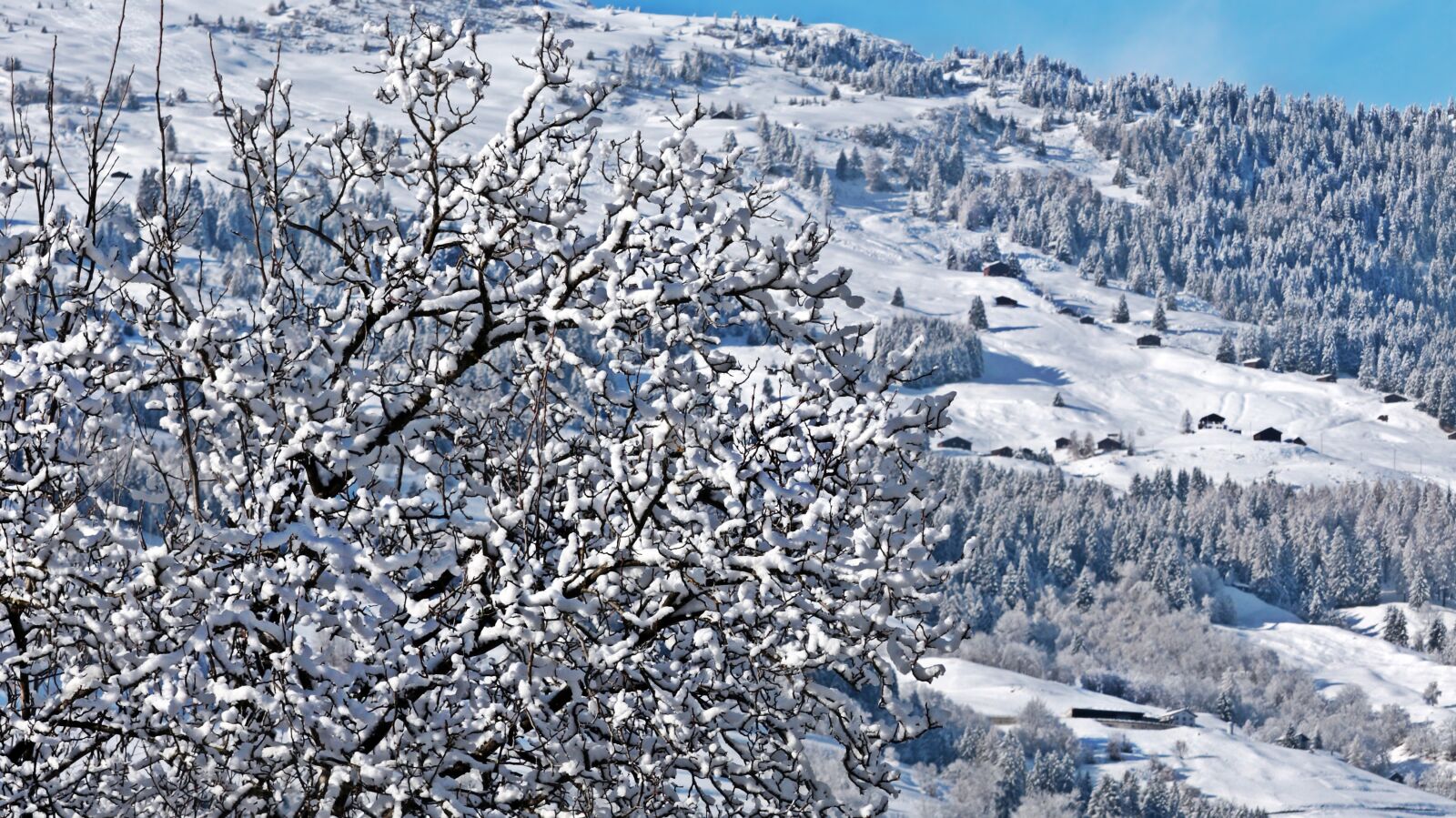 Canon EOS 80D sample photo. Switzerland, alpine, mountains photography