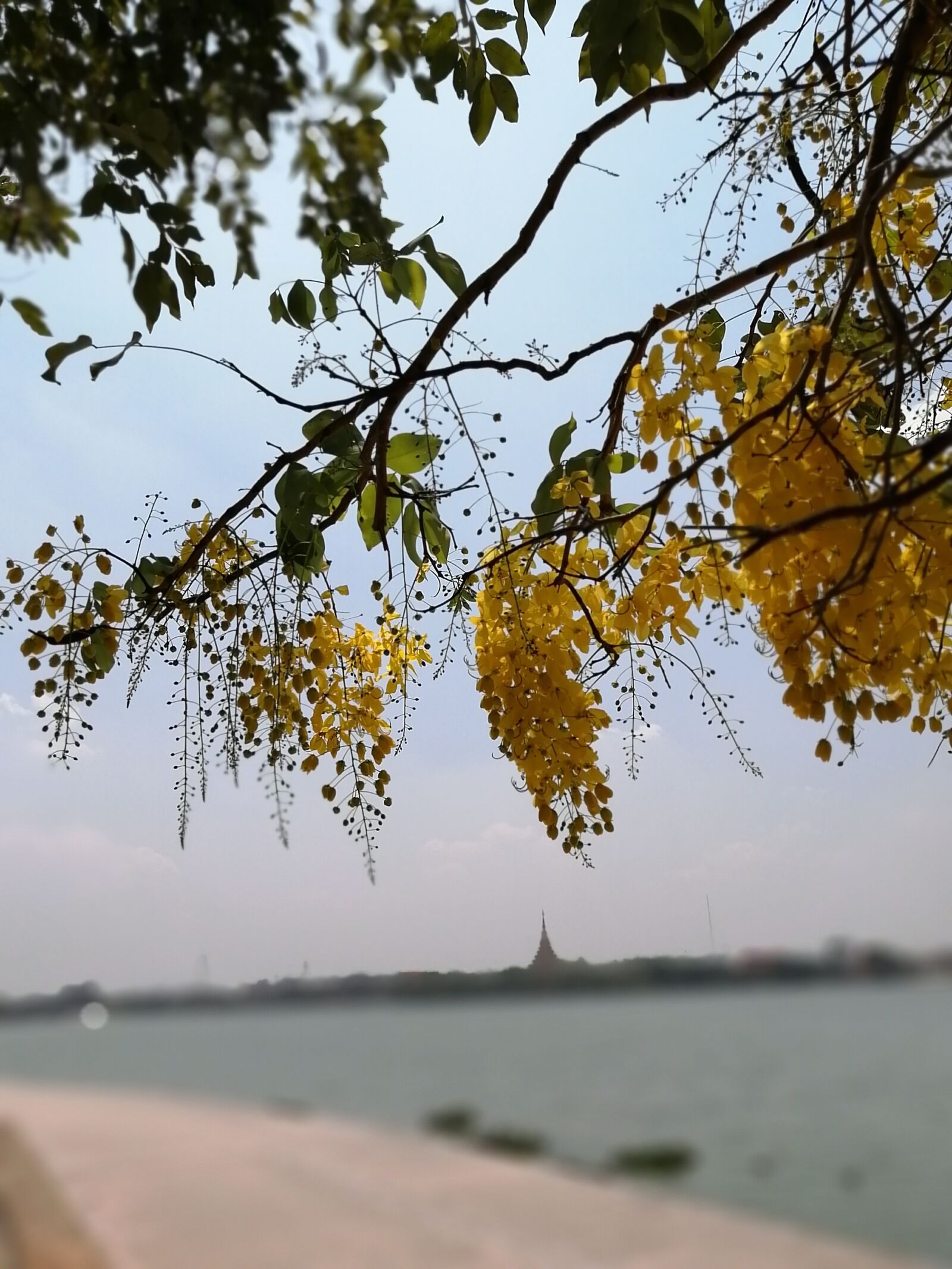 HUAWEI P30 LITE sample photo. Khonkaen, thailand, travel photography