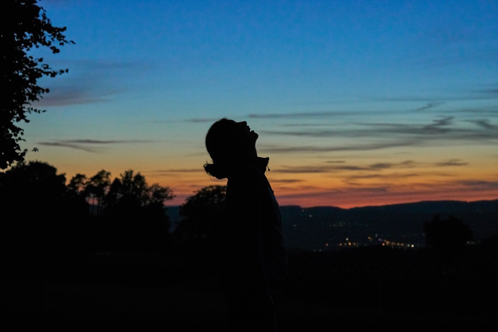 Sony a6300 sample photo. Abendstimmung, silhouette, sunset photography