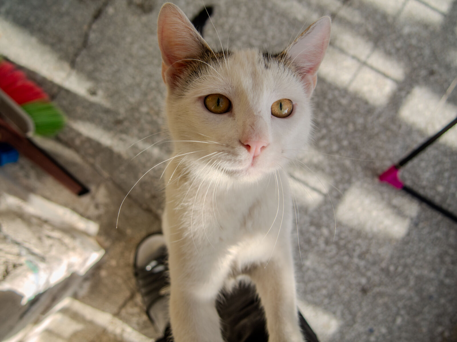 Olympus OM-D E-M5 sample photo