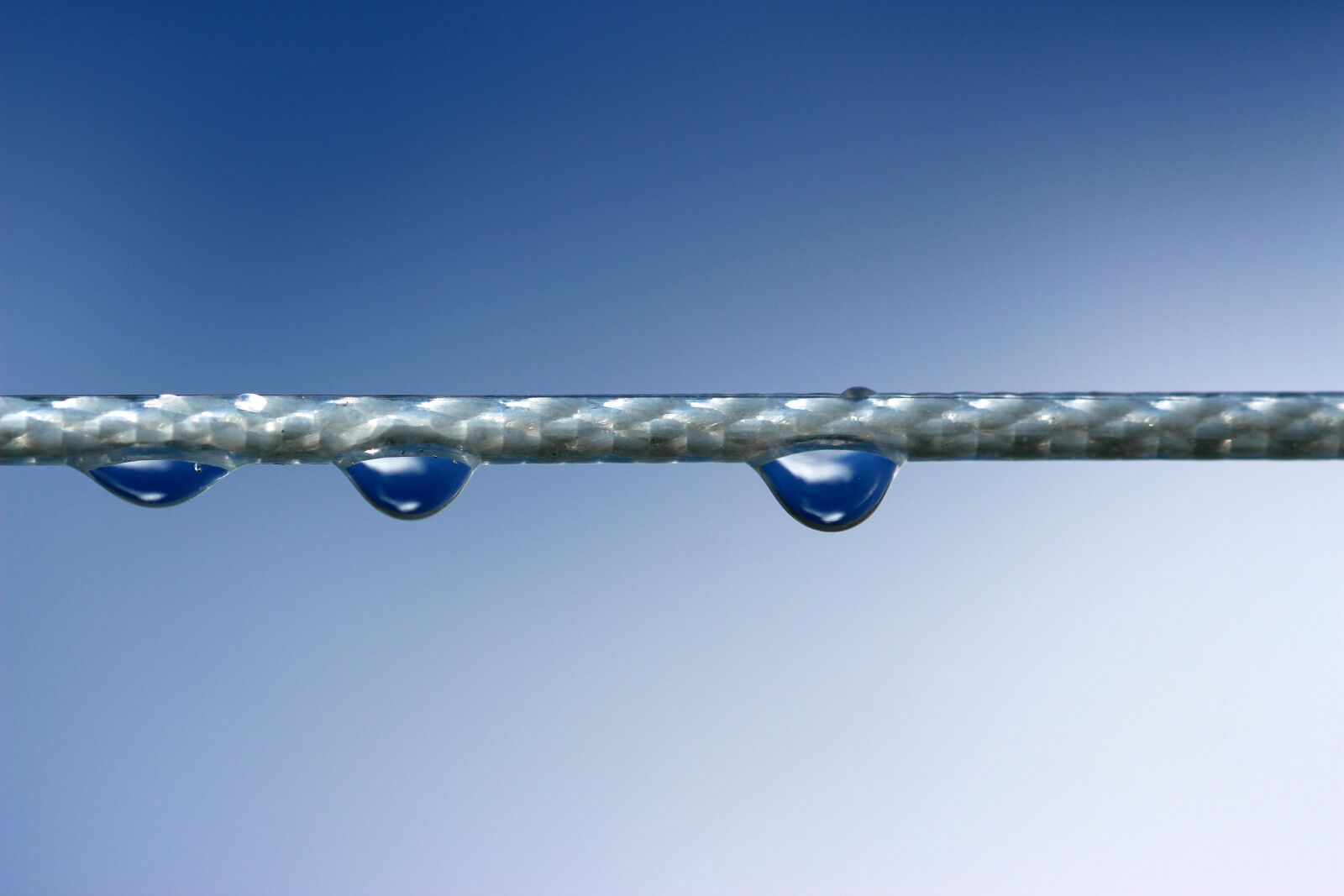 Canon EOS 650D (EOS Rebel T4i / EOS Kiss X6i) sample photo. Raindrop, mirroring, water photography