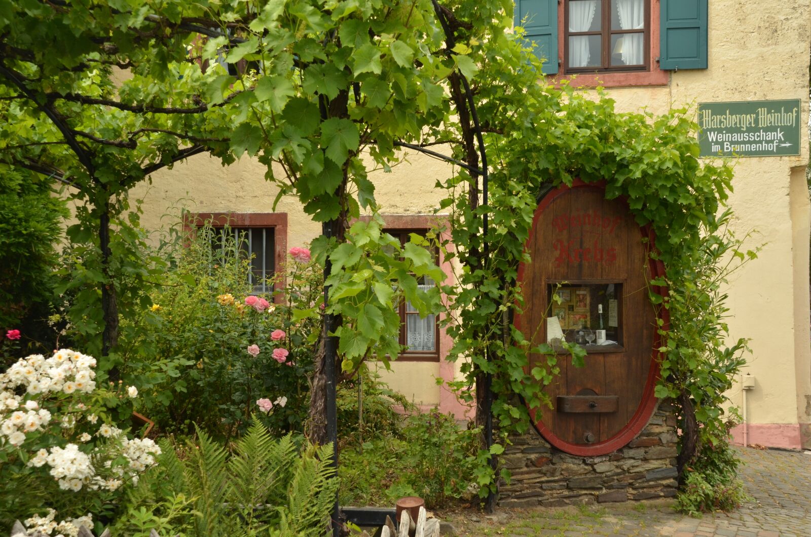 Nikon D7000 sample photo. Garden, grape, barrel photography