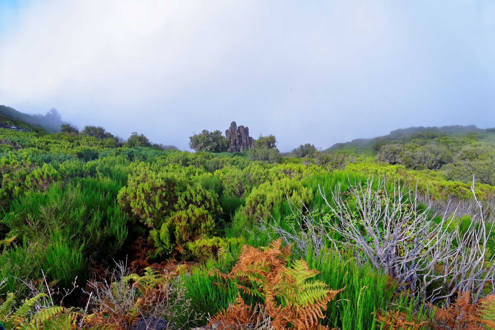 Panasonic Lumix DMC-FZ1000 sample photo. Landscape, madeira, highlands photography