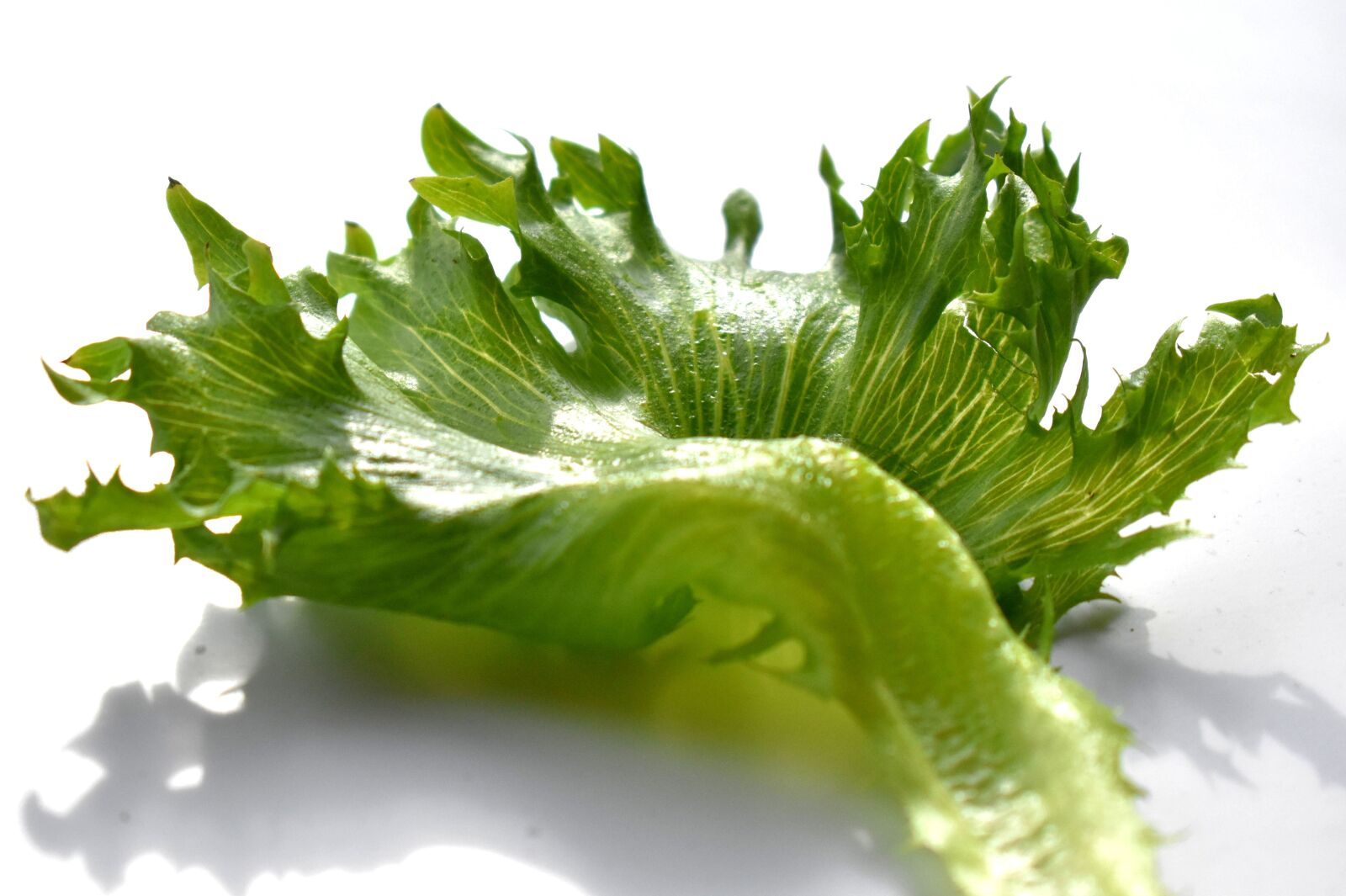 Nikon D3400 sample photo. Salad, green, nutrition photography
