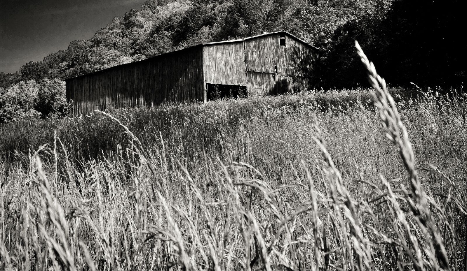 Fujifilm X30 sample photo. Black and white, barn photography
