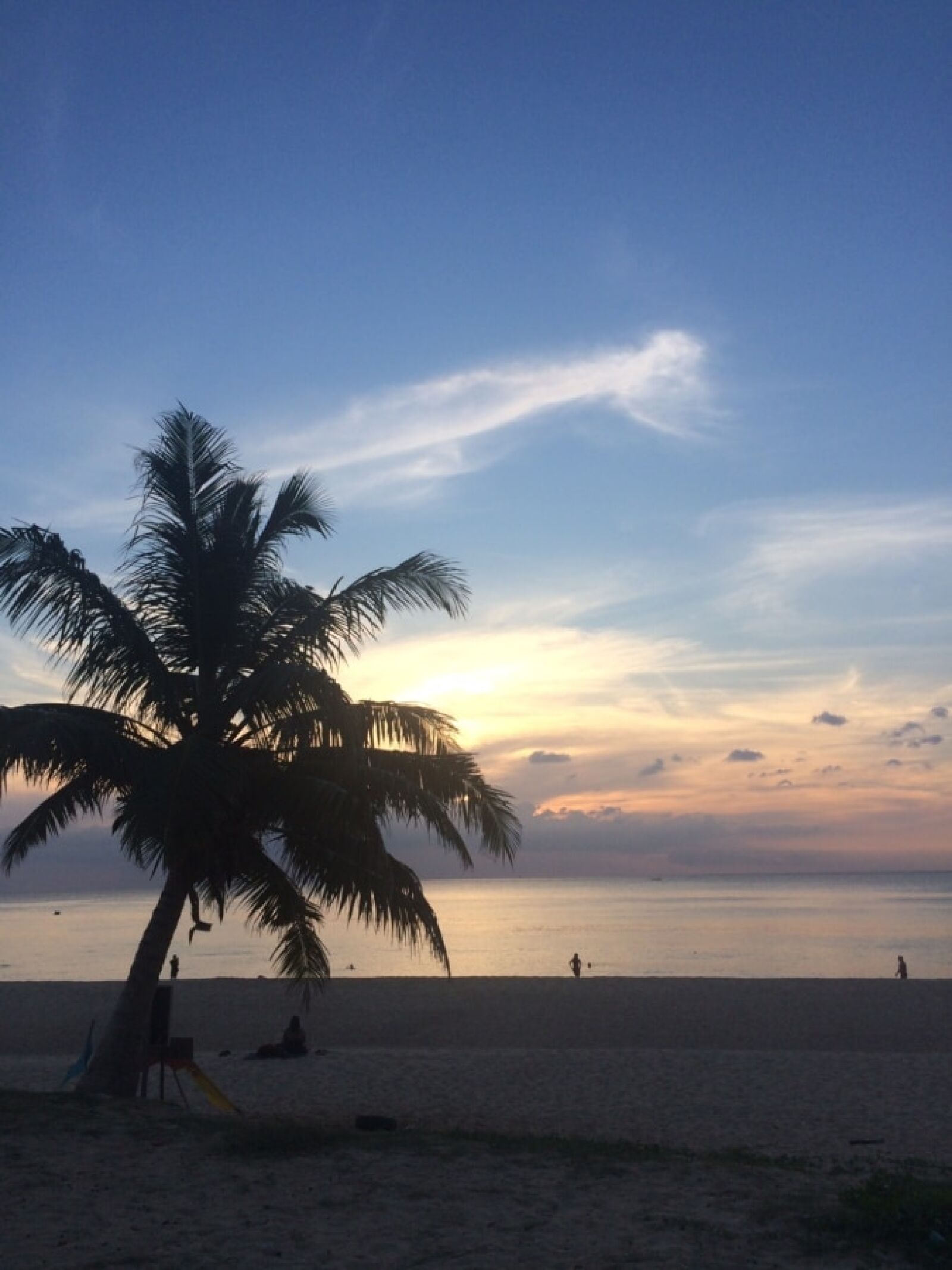 iPhone 5s back camera 4.15mm f/2.2 sample photo. Beach, blue sky, coconut photography