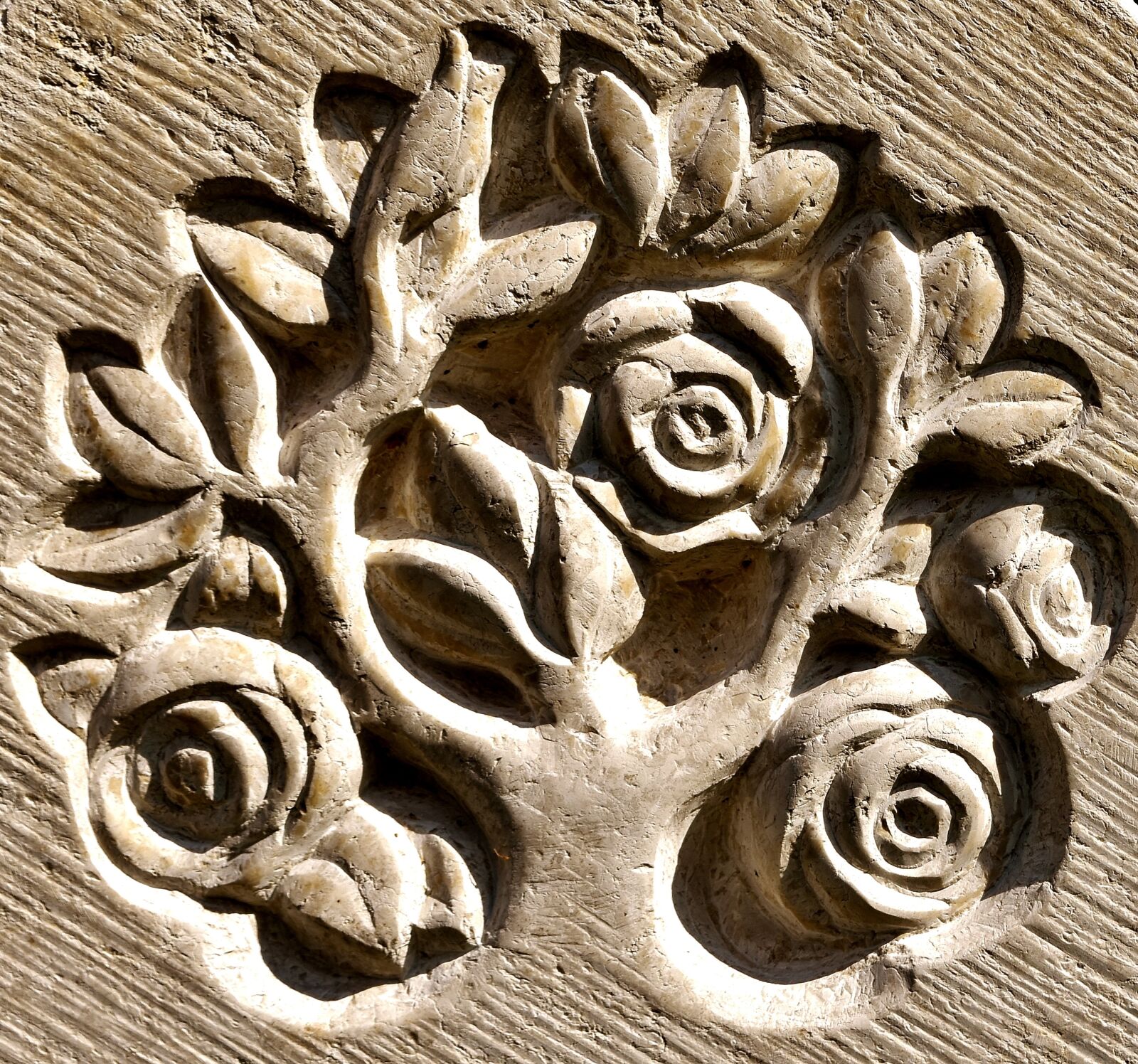 Nikon D7200 sample photo. Tree of life, art photography