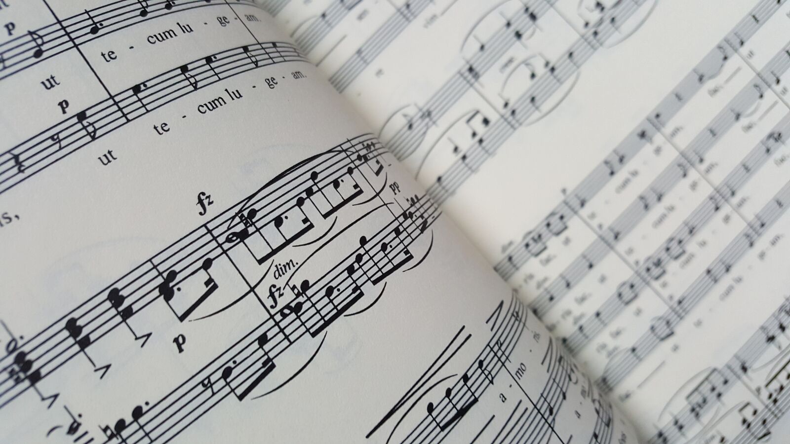 Samsung Galaxy S6 sample photo. Music, notenblatt, partiture photography