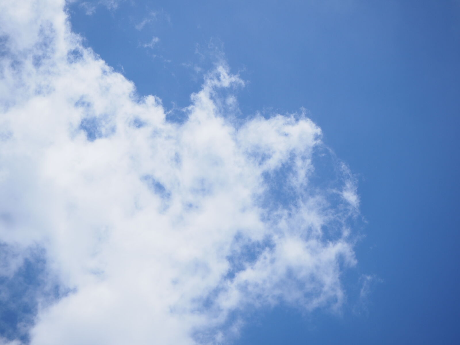 Olympus OM-D E-M10 II sample photo. Blue, blue, sky, clouds photography