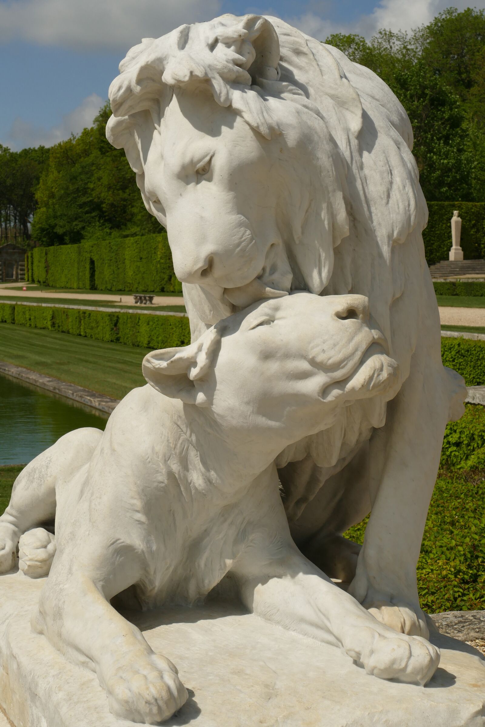 Panasonic Lumix DMC-FZ1000 sample photo. Lion, lioness, mammal photography
