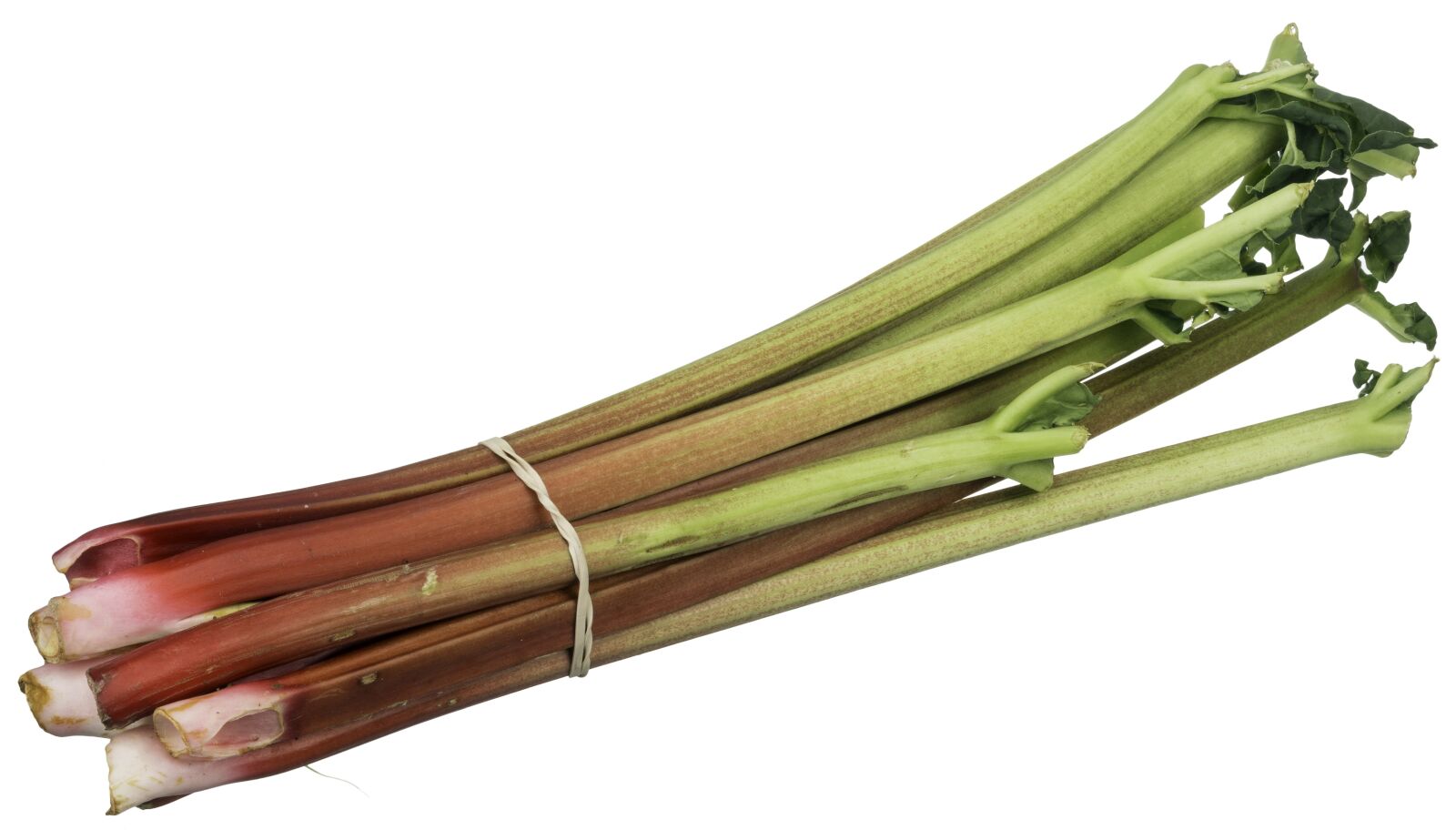 Nikon D7100 sample photo. Rhubarb, fruit, food photography