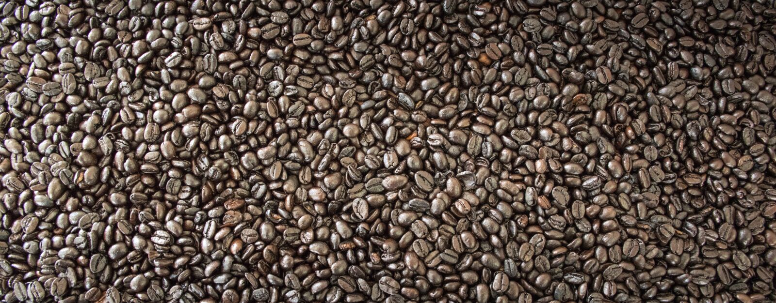 Nikon D5500 sample photo. Coffee, coffee bean, the photography