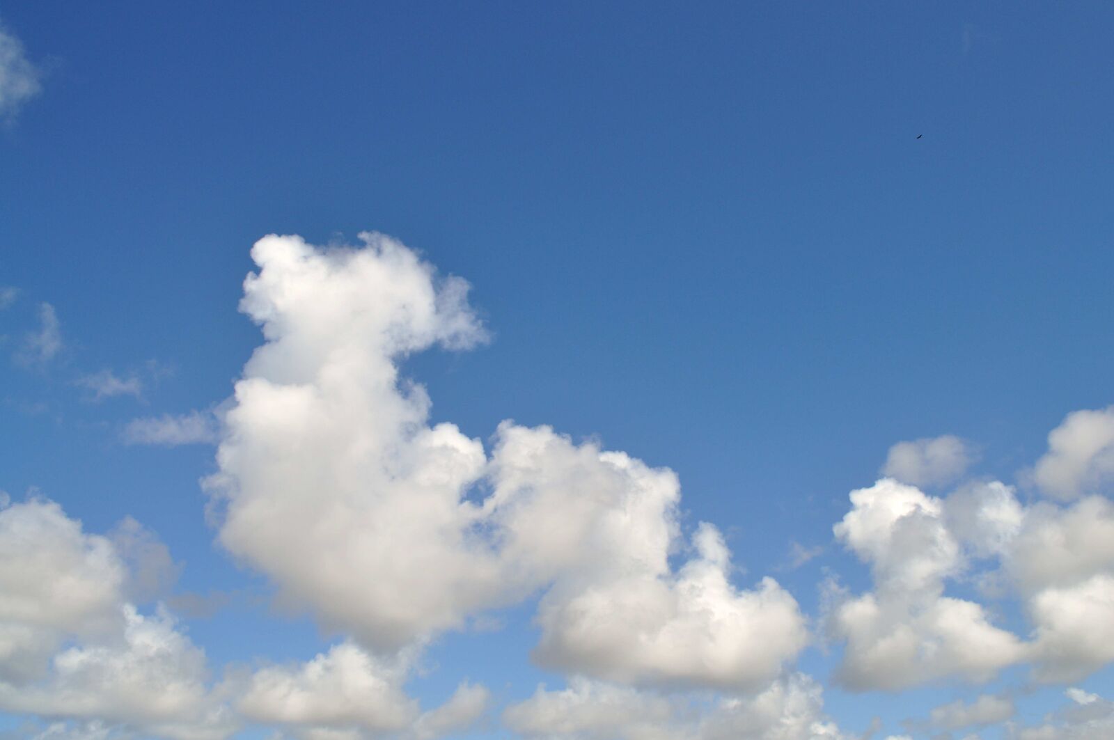Nikon D5000 sample photo. Clouds, sky, photo photography