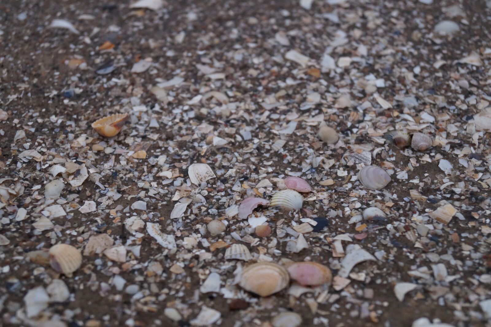 Sony DT 18-55mm F3.5-5.6 SAM II sample photo. Marzena, the stones, sea photography