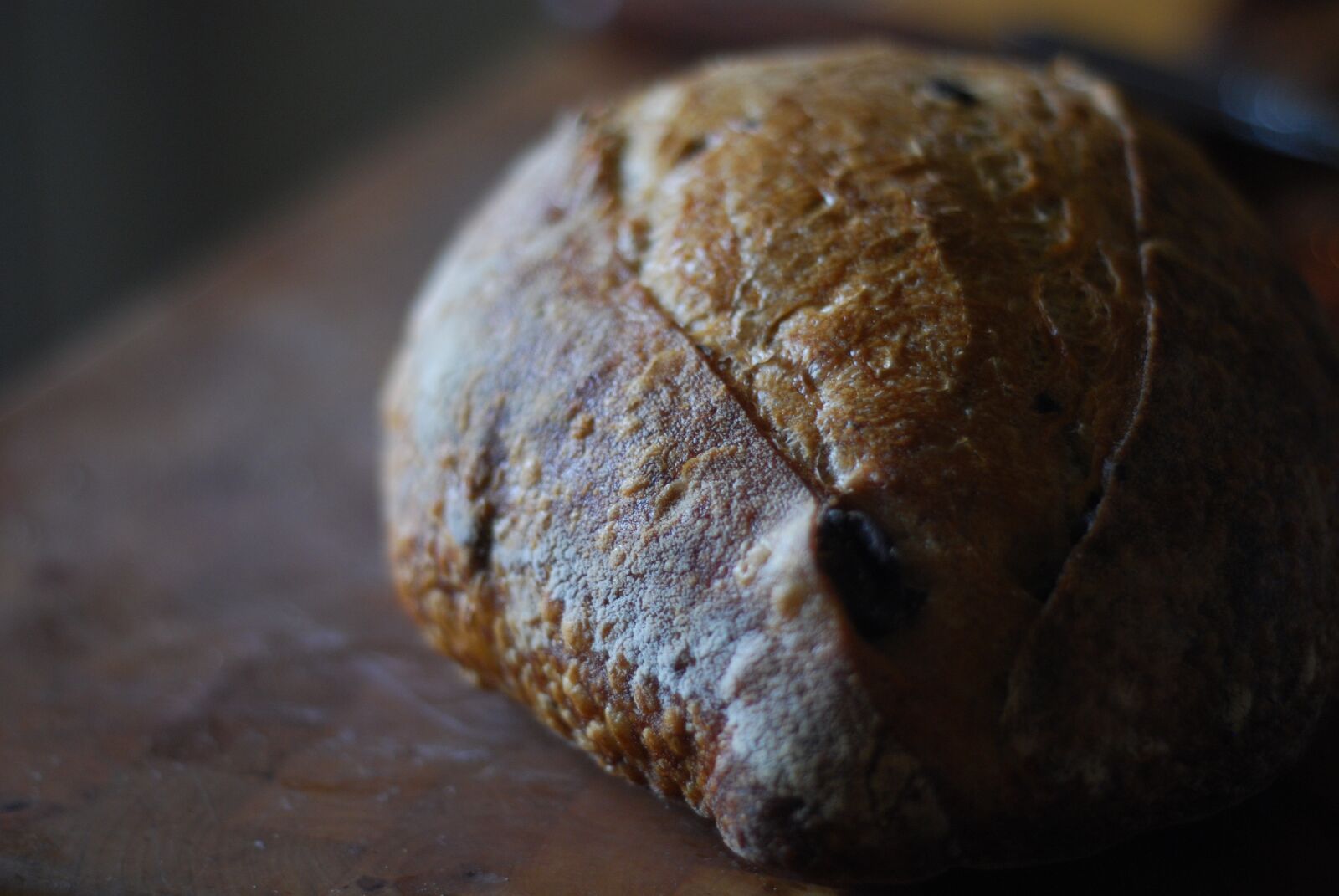 Nikon D60 sample photo. Bread, artisan, bakery photography
